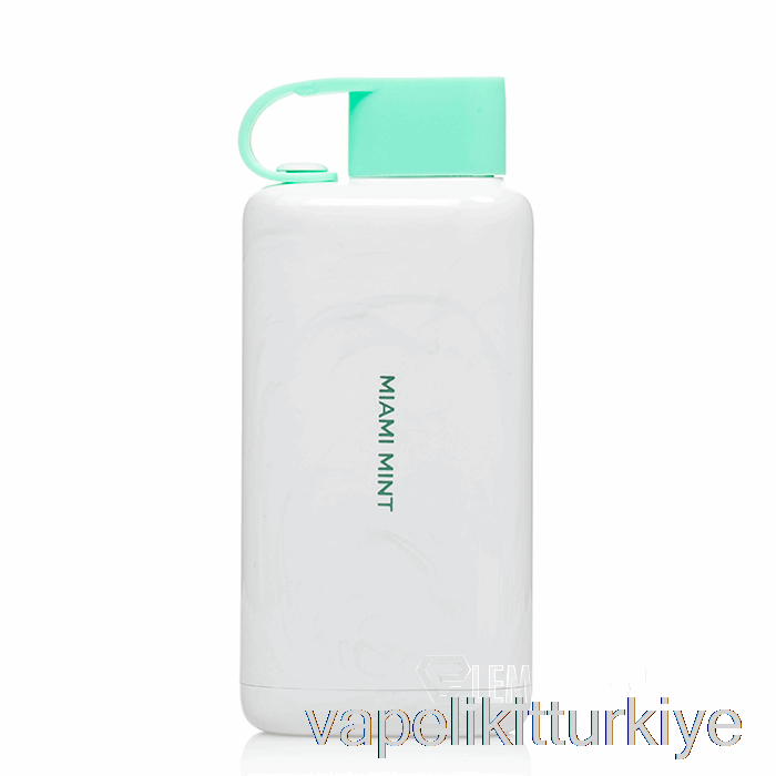 Vape Türkiye Vozol Star 9000 Tek Kullanımlık Miami Nane